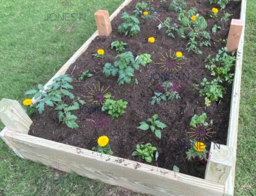 We Finally Created a Raised Garden Bed