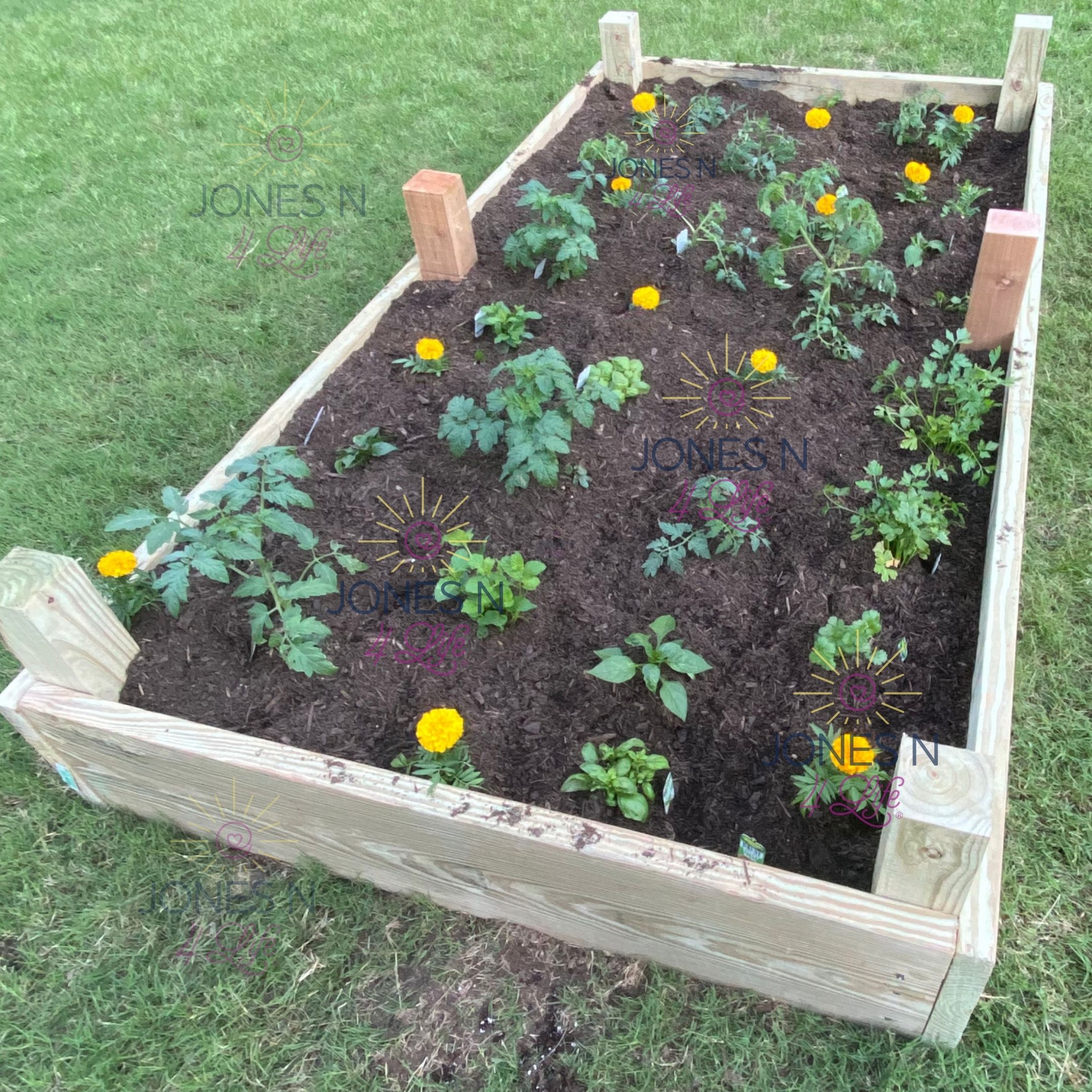 A raised flower bed with plants and flowers planted.